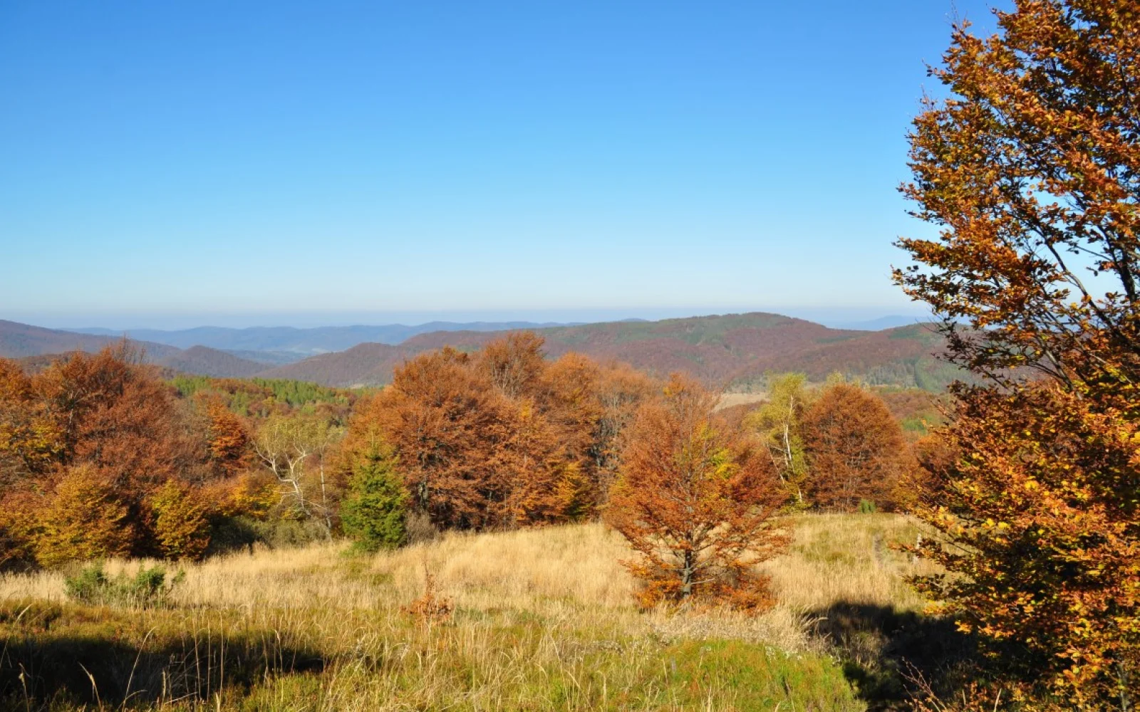 Willkommen im Nationalpark Bieszcczady!