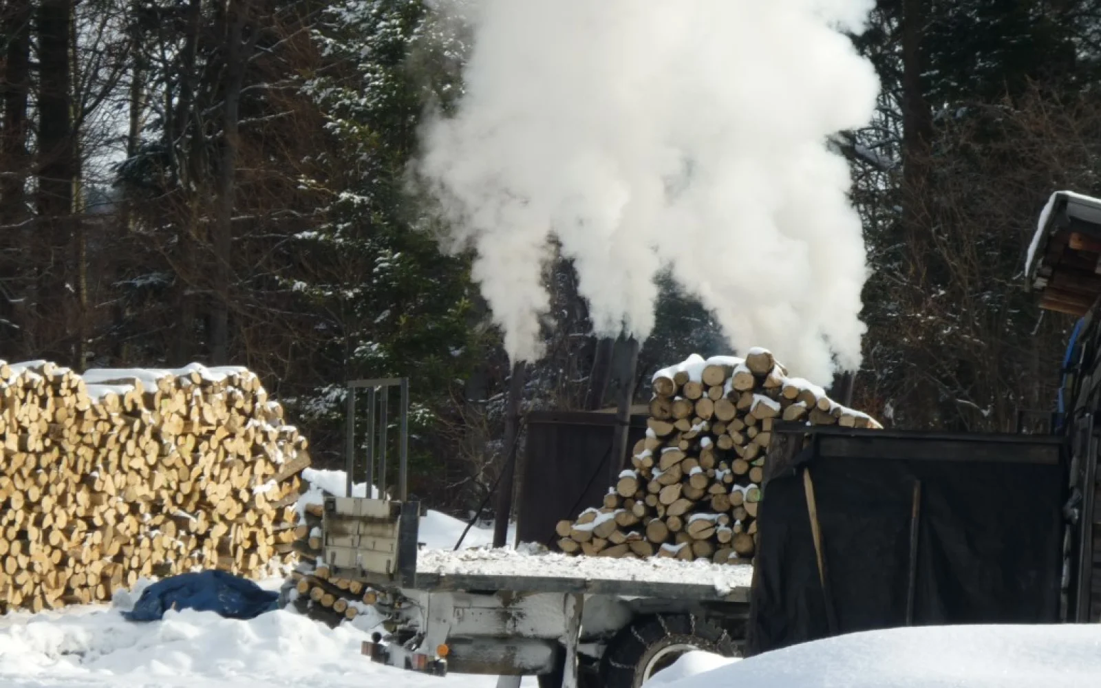 Die Buchenwälder bieten Köhlern viel Material auch für unsere Grillkohle.