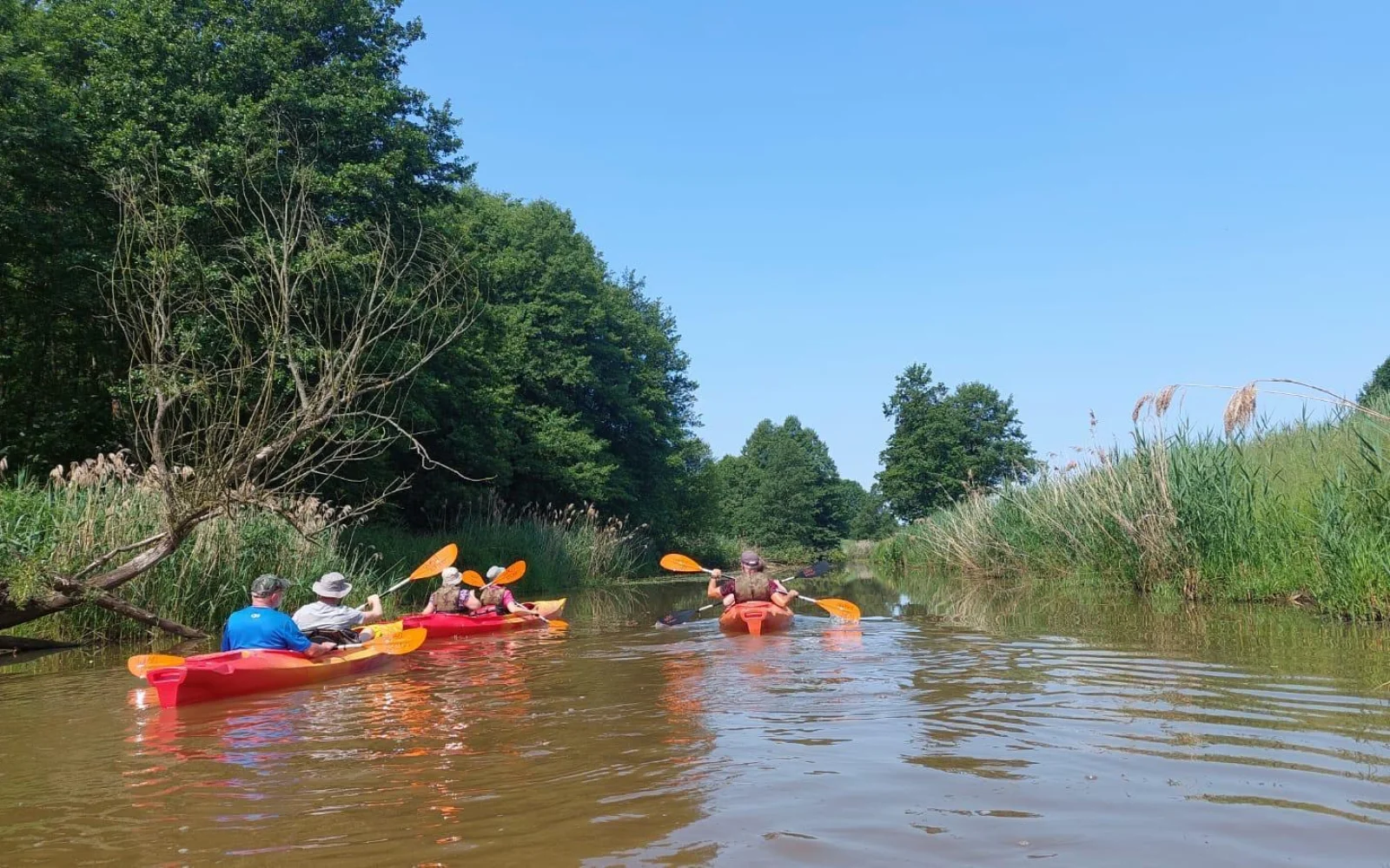 Für Abwechslung sorgt eine Paddeltour auf dem Flüsschen Bartsch.
