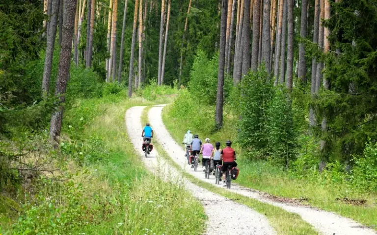 Radtour durch die Wälder der Johannisburger Heide