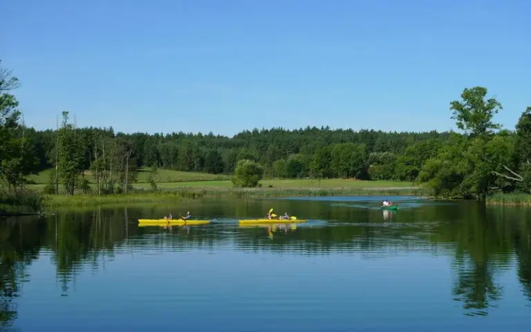 Erste Kajaktour durch Masurische Wälder