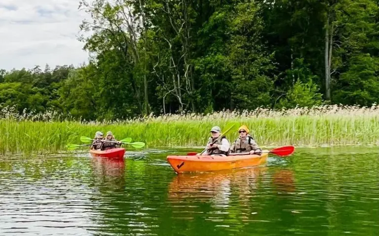 Paddeln von Krutyń nach Ukta durch malerische Landschaft