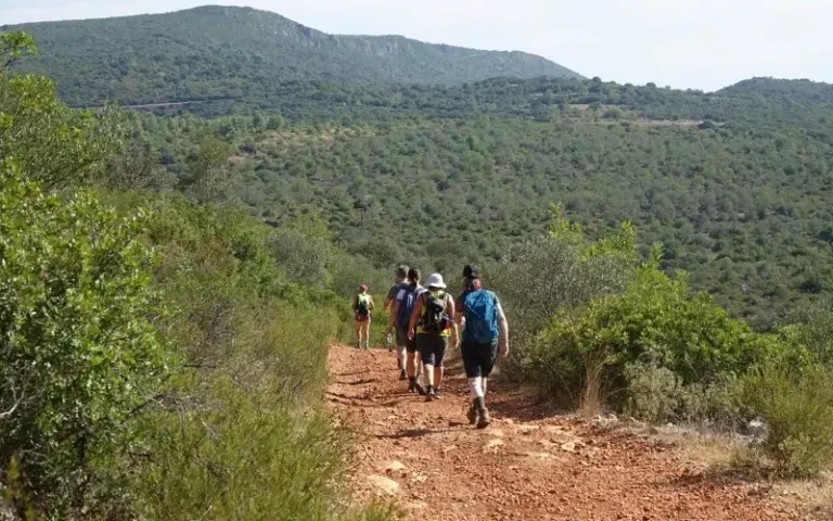 Ein blühendes Paradies - Wanderung durch den "Barrocal"