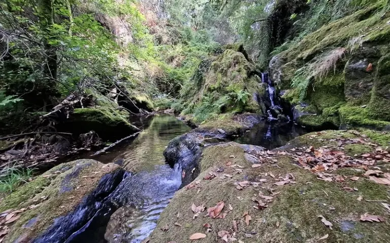 Wanderung zu prähistorischen Gräbern und versteckten Wasserfällen 