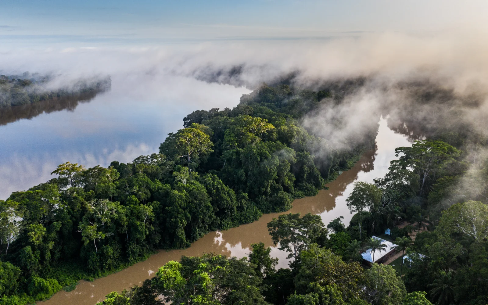 Bomassa: im tiefsten Regenwald am Sangha Fluss