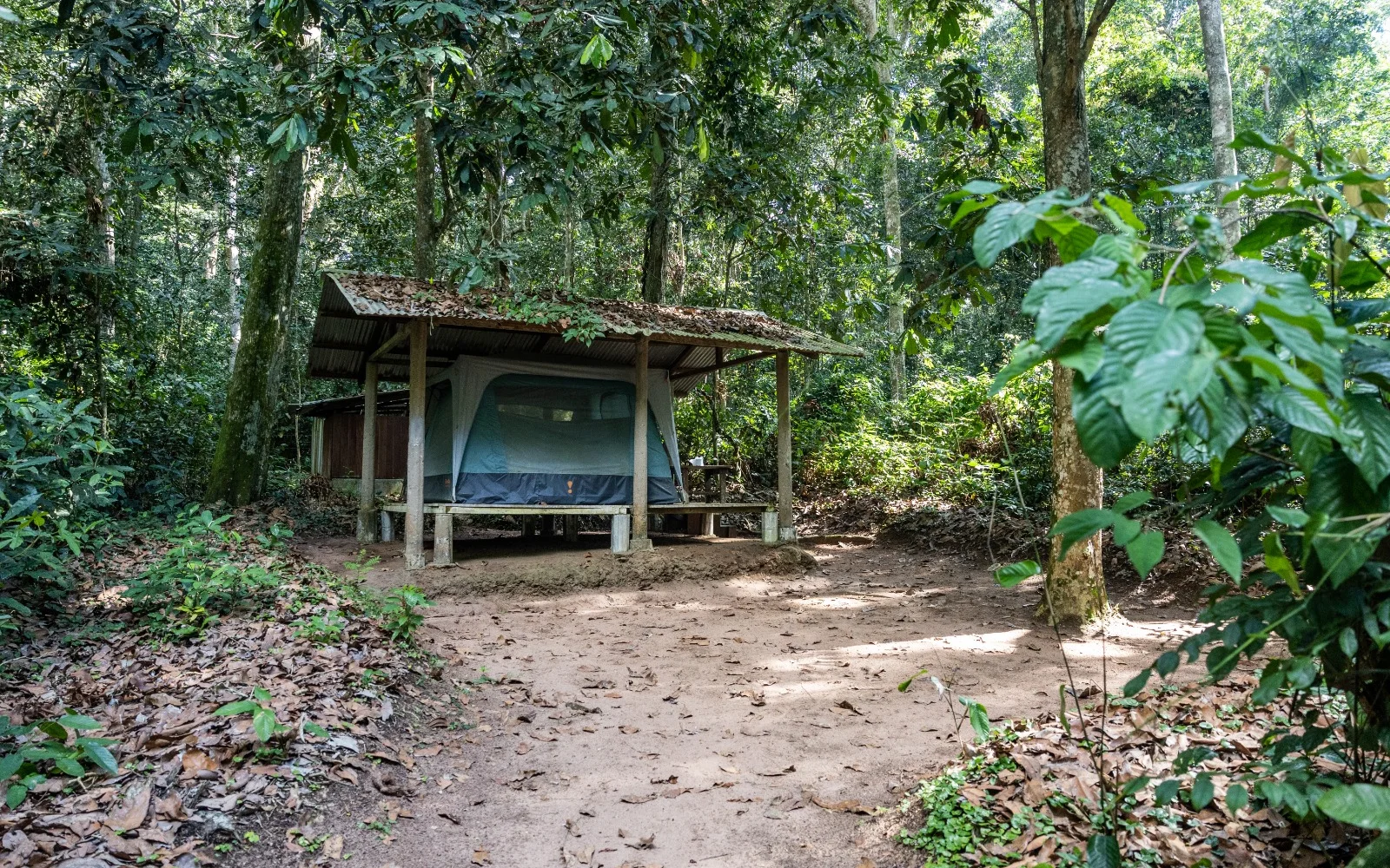Einfache Unterkunft im Regenwald: das Mondika Camp