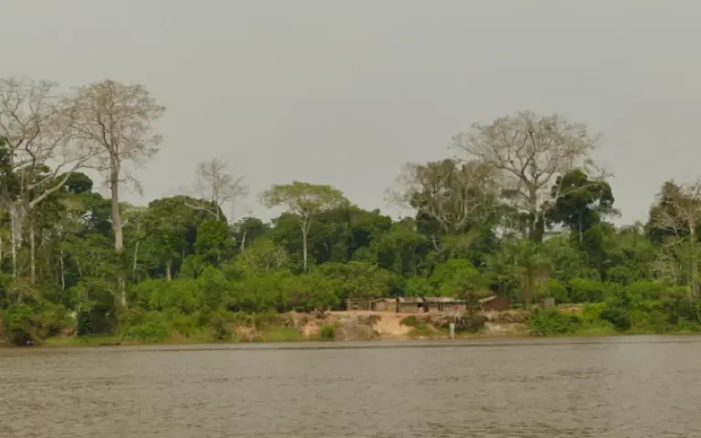 Bootstour nach Bomassa, das Tor zum Nouabalé-Ndoki-Nationalpark