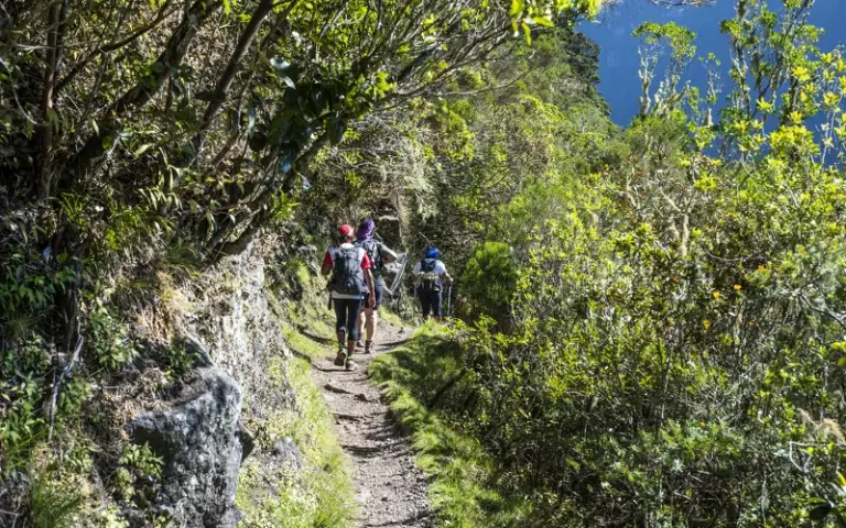 Aufstieg zum Ilet des Orangers und Wanderung nach Roche Plate