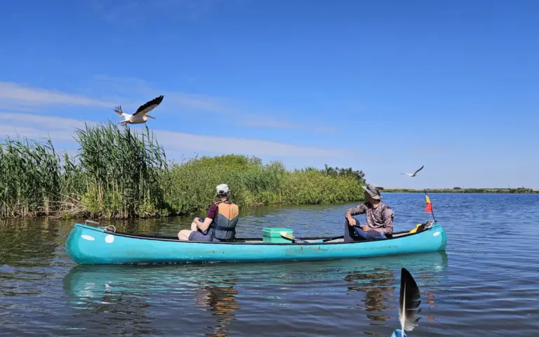 So nah erlebt man das Donaudelta nur vom Wasser aus