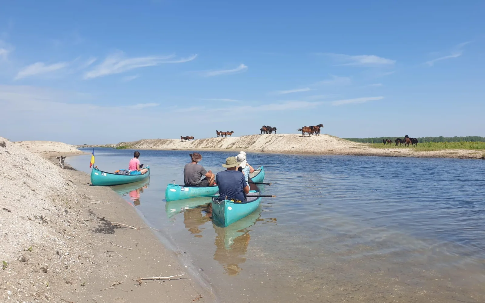 Vorbei an den Sanddünen von Letea, eine der landschaftlichen Überraschungen