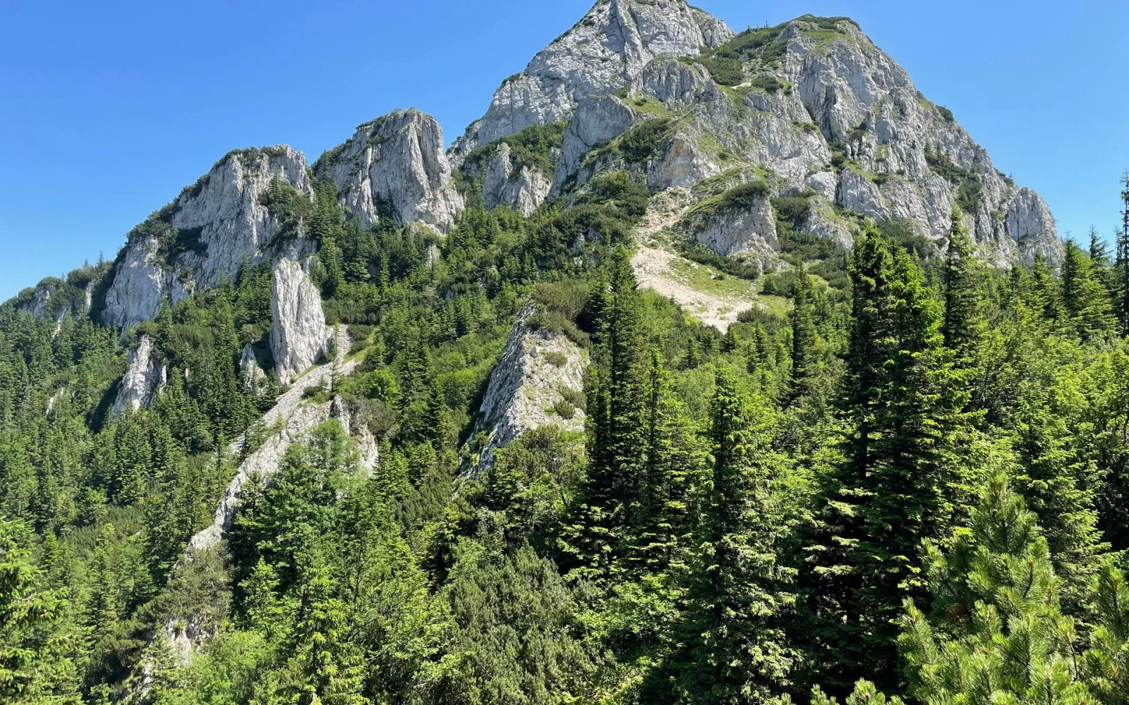 Im Nationalpark Königsteingebirge besteigen Sie optional den Gipfel des Kleinen Königstein