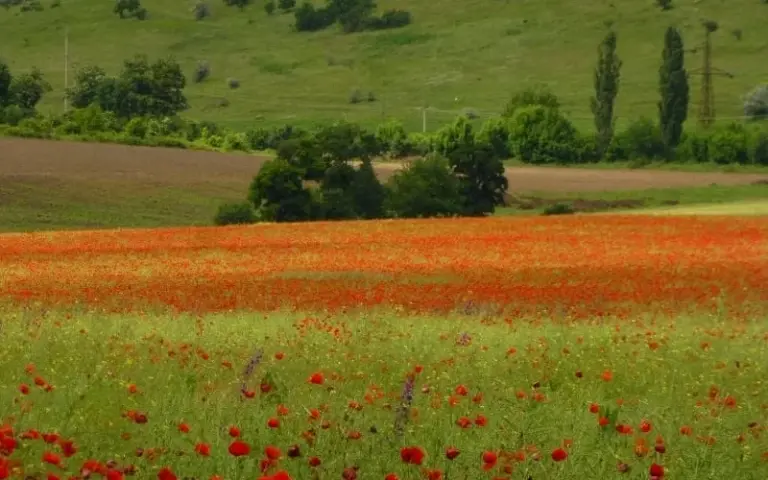 Anreise nach Bukarest und Fahrt nach Tulcea