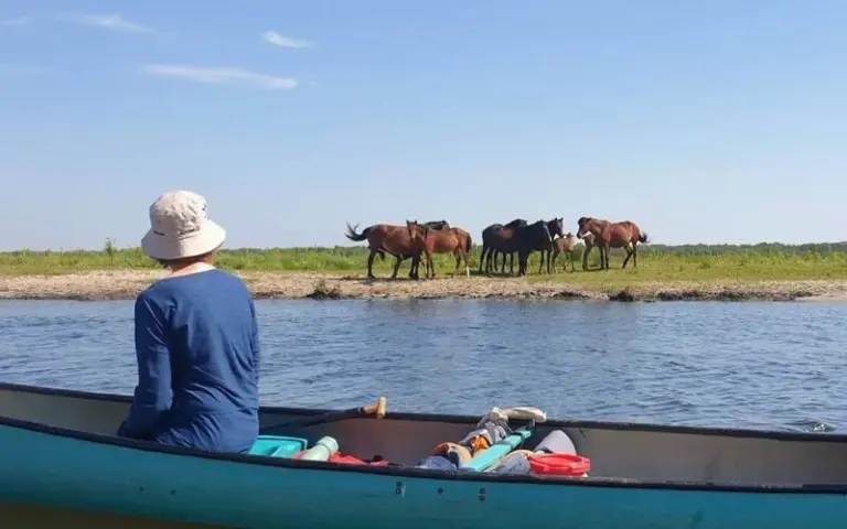 Paddeltour von Letea nach Sulina