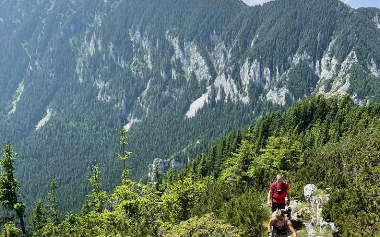 Wanderung im Nationalpark Königstein mit optionaler Gipfelbesteigung