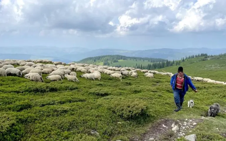 Wanderung durch das malerische Vorbergland in zwei Hirtendörfer