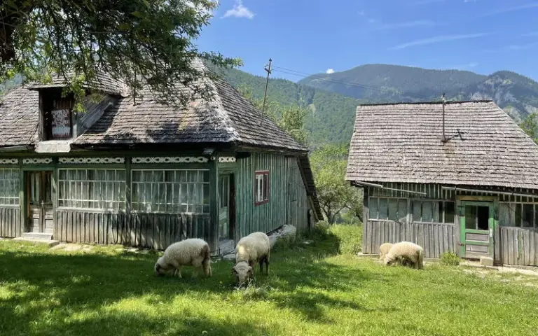 Wanderung zur Fledermaushöhle und optionale Bärenbeobachtung