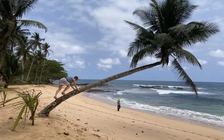 Beachhopping und Wanderung mit Mangroven-Tour auf den Spuren der Schildkröten