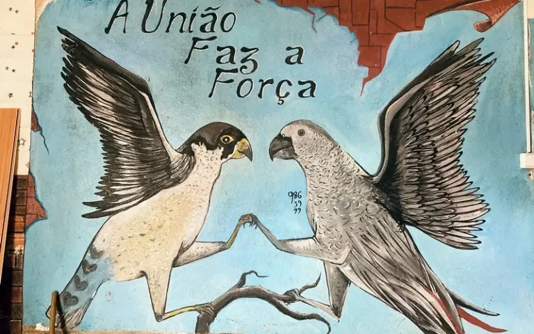 Die beste Schokolade der Welt und Adéus, São Tomé!
