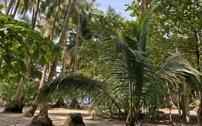 Strandhopping auf Príncipe