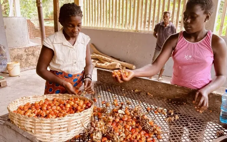 Von Príncipe zurück nach São Tomé und Genusswanderung mit Badestopp