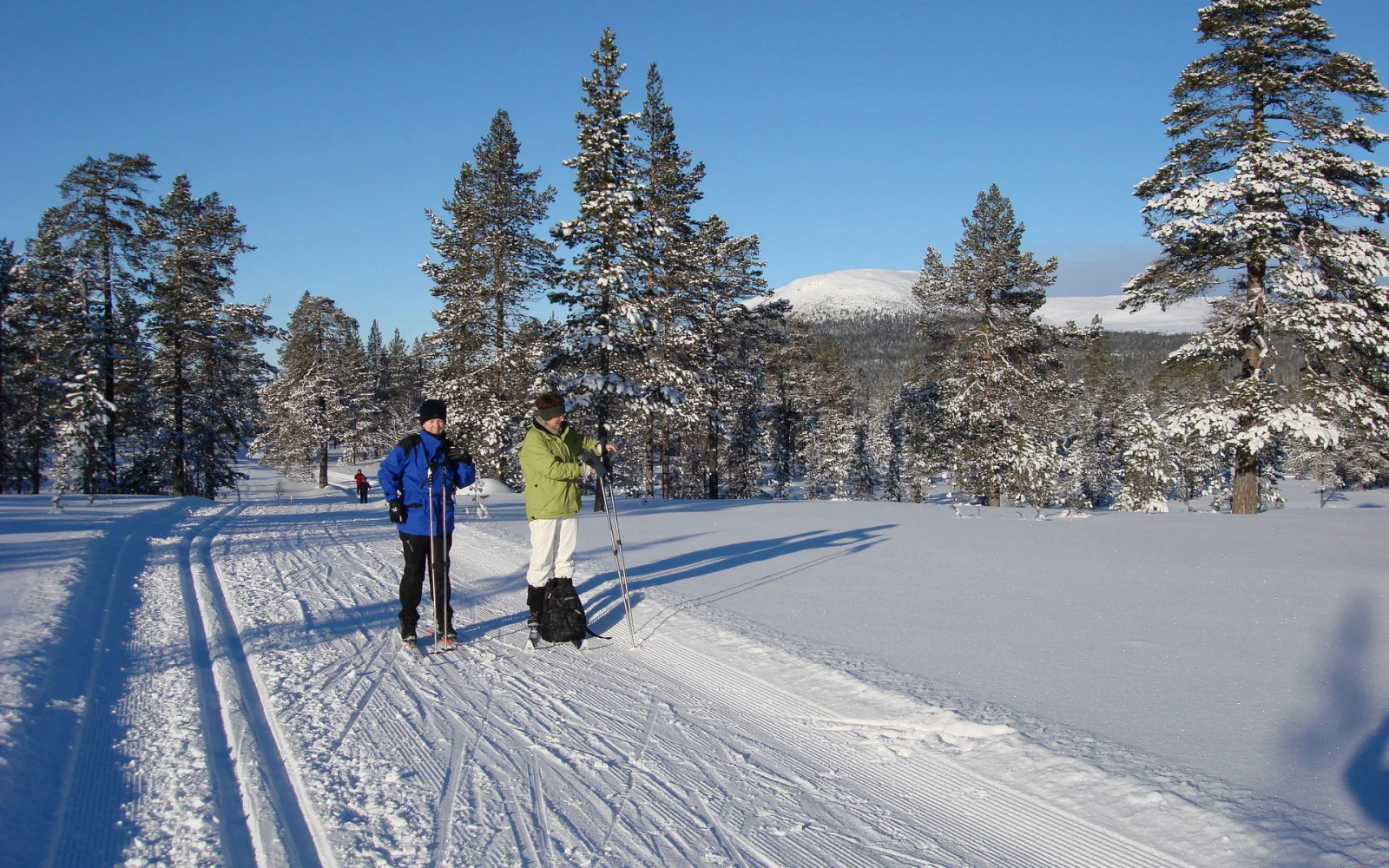 Ski fahren in der Winterwunderwelt 