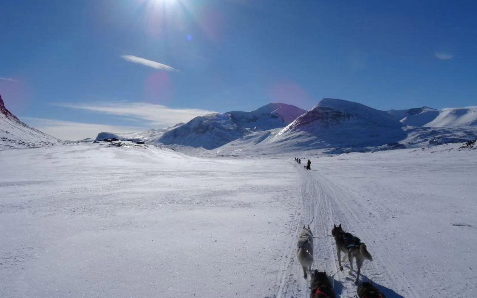Der Kungsleden ist eine atemberaubend schöne Kulisse für eine Huskytour