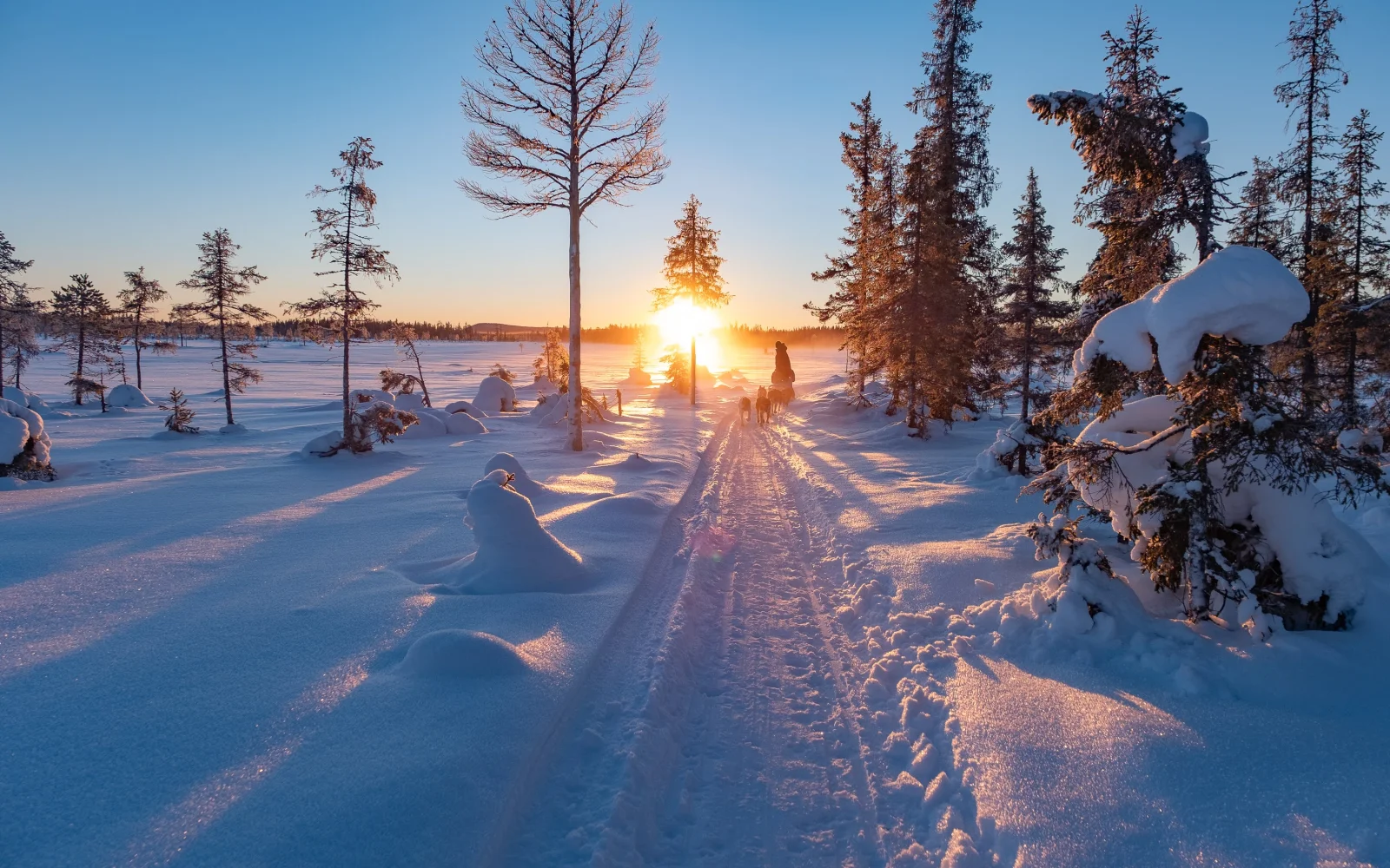 Willkommen im Winterwunderland