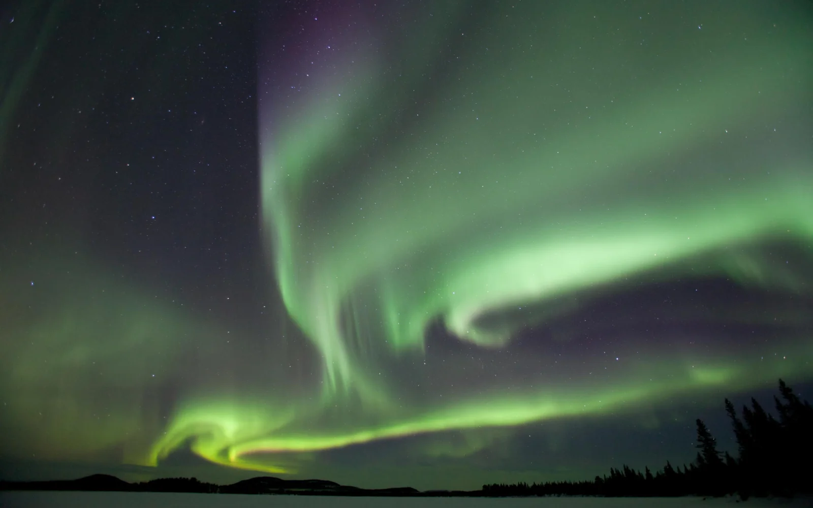 Ein Highlight jeder Lapplandreise im Winter sind die Nordlichter