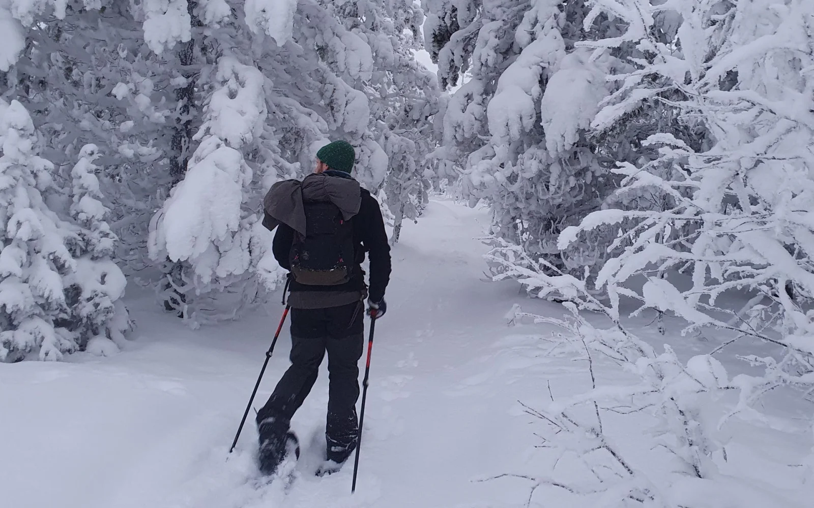 Zwischen den Huskyetappen erkunden Sie die nähere Umgebung der Wildnishütten per Schneeschuh oder Holzski.