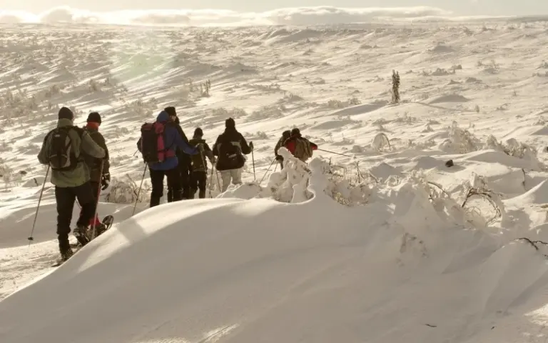 Skiwandern im schwedischen Winterparadies