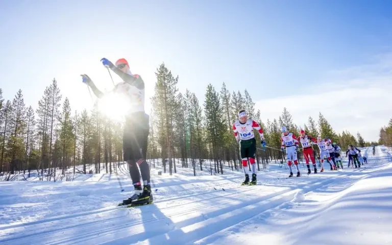 Nordenskiöldsloppet 220 km