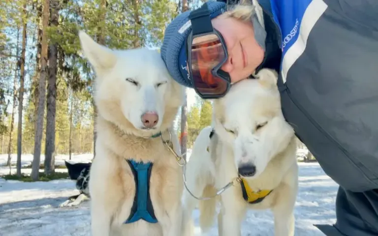 Zurück zur Huskyfarm