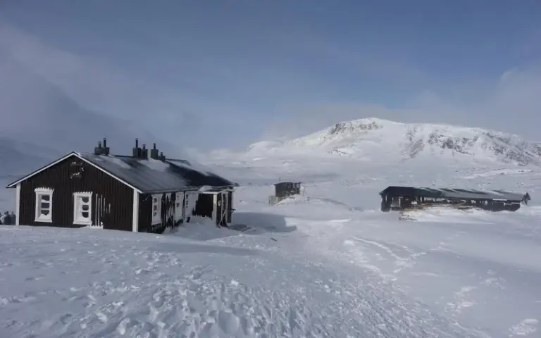 Puffertag