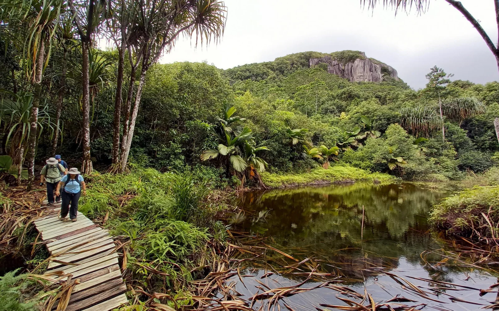 Wanderung im Nationalpark Morne Seychellois