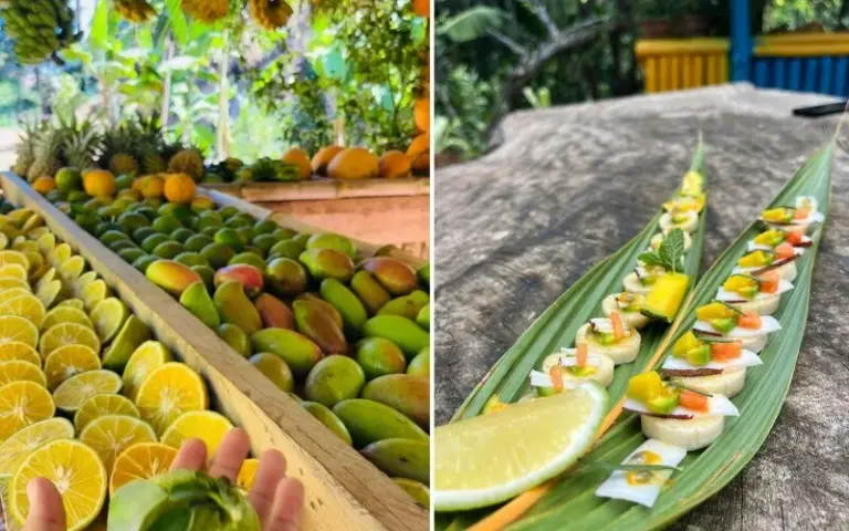 Besuch der Bio-Plantage Valleé Des Fruits
