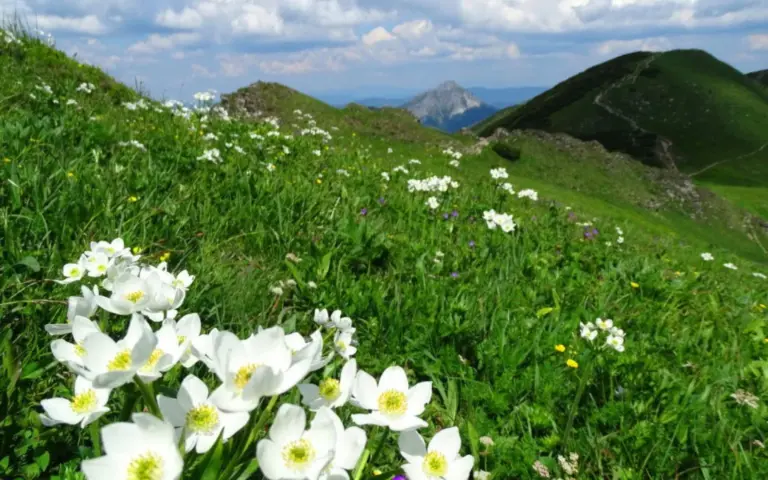 Die Mala Fatra – ein Geheimtipp für Natur- und Wanderfreunde