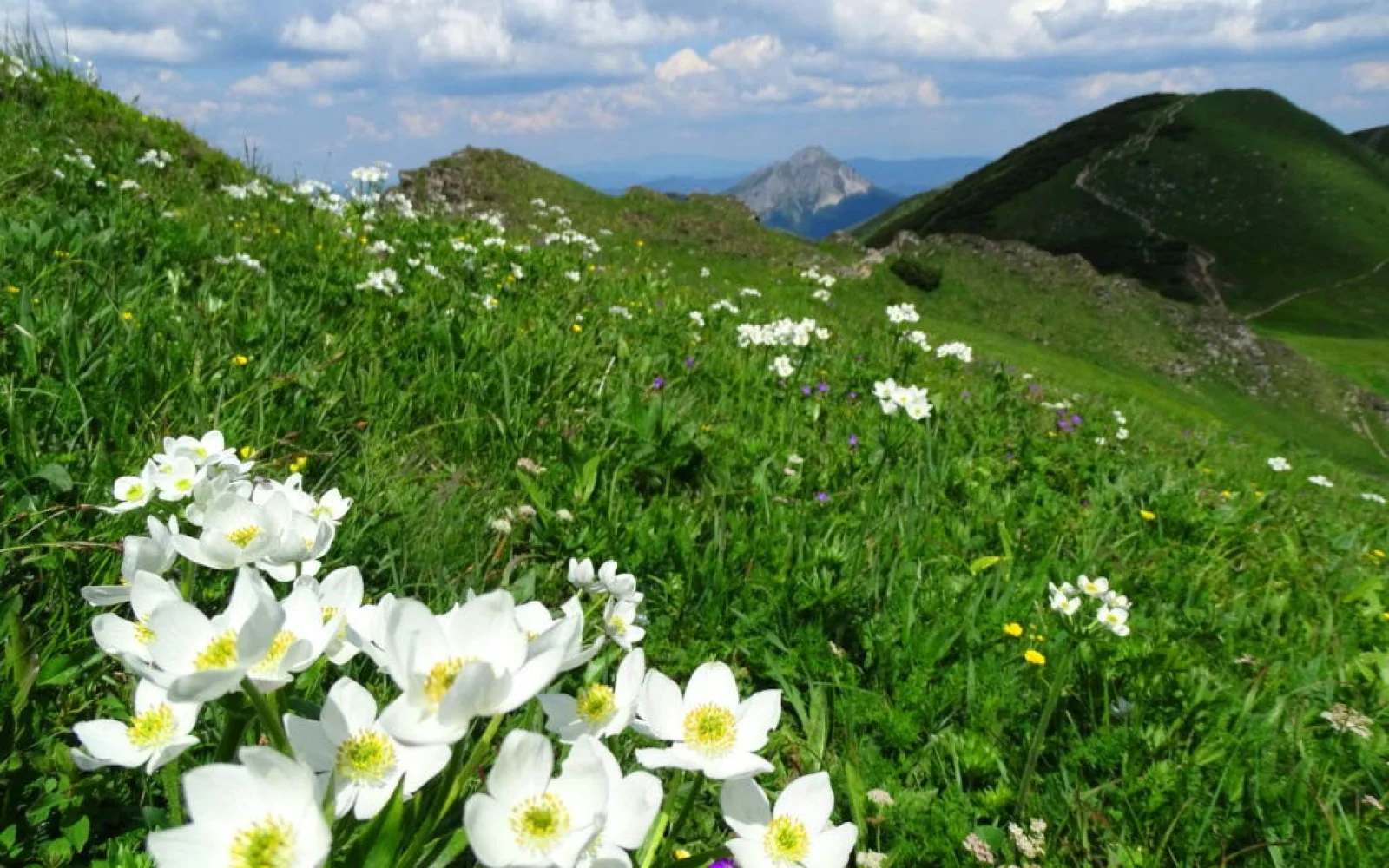Die Mala Fatra – ein Geheimtipp für Natur- und Wanderfreunde