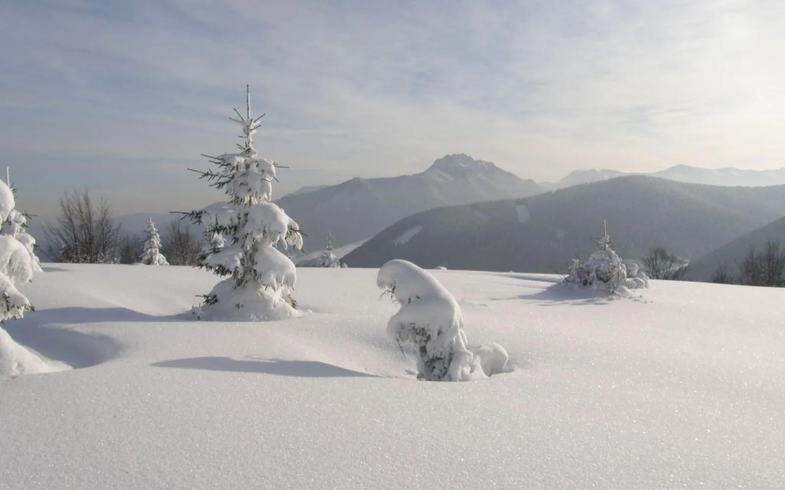 Die tiefverschneite Idylle der Mala Fatra wirkt wie Balsam für die Seele