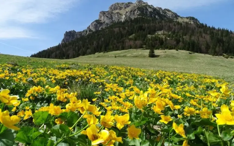 Zum höchsten Berg der Malá Fatra, dem Velký Krivan