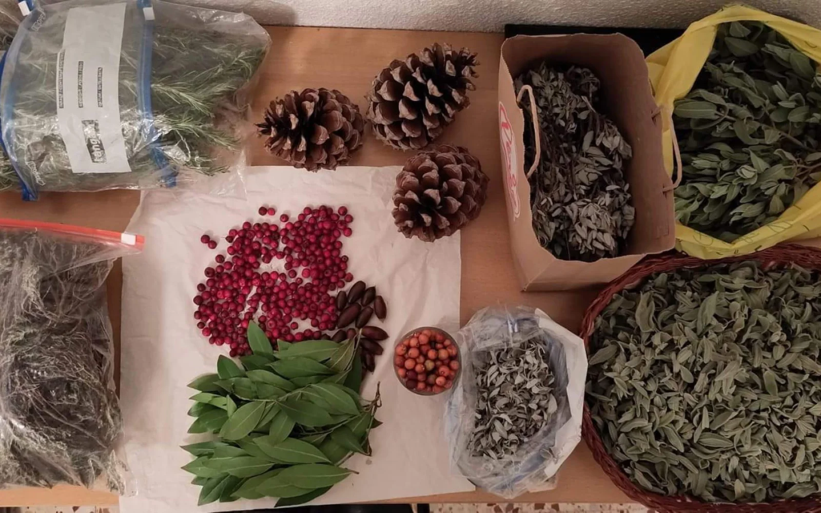 Nicht nur Sonne und gute Laune tanken unsere Gäste in der Aitana. Wer mag, kann auch Wildkräuter, wie weißen Salbei, Zistrose, Thymian, Wacholder und Rosmarin sammlen