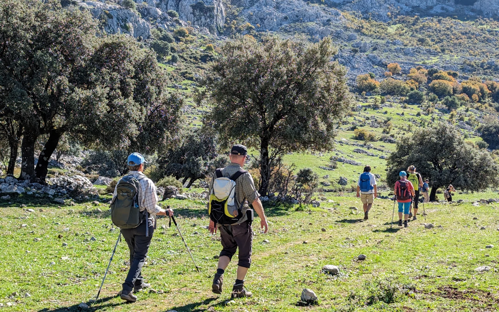 An 6 Tagen Wanderungen zwischen anderthalb und bis zu vier Stunden