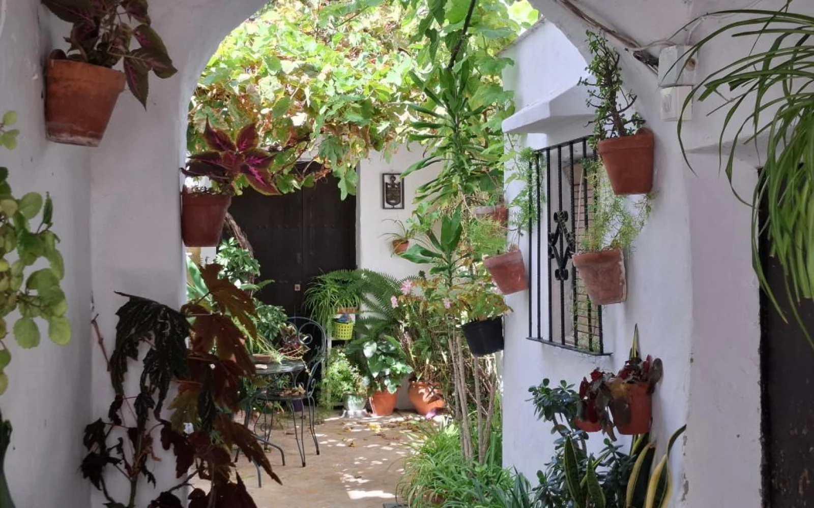 Vejer eine Perle für sich: kleine Gassen, grüne Patios, tolle Restos & Bars