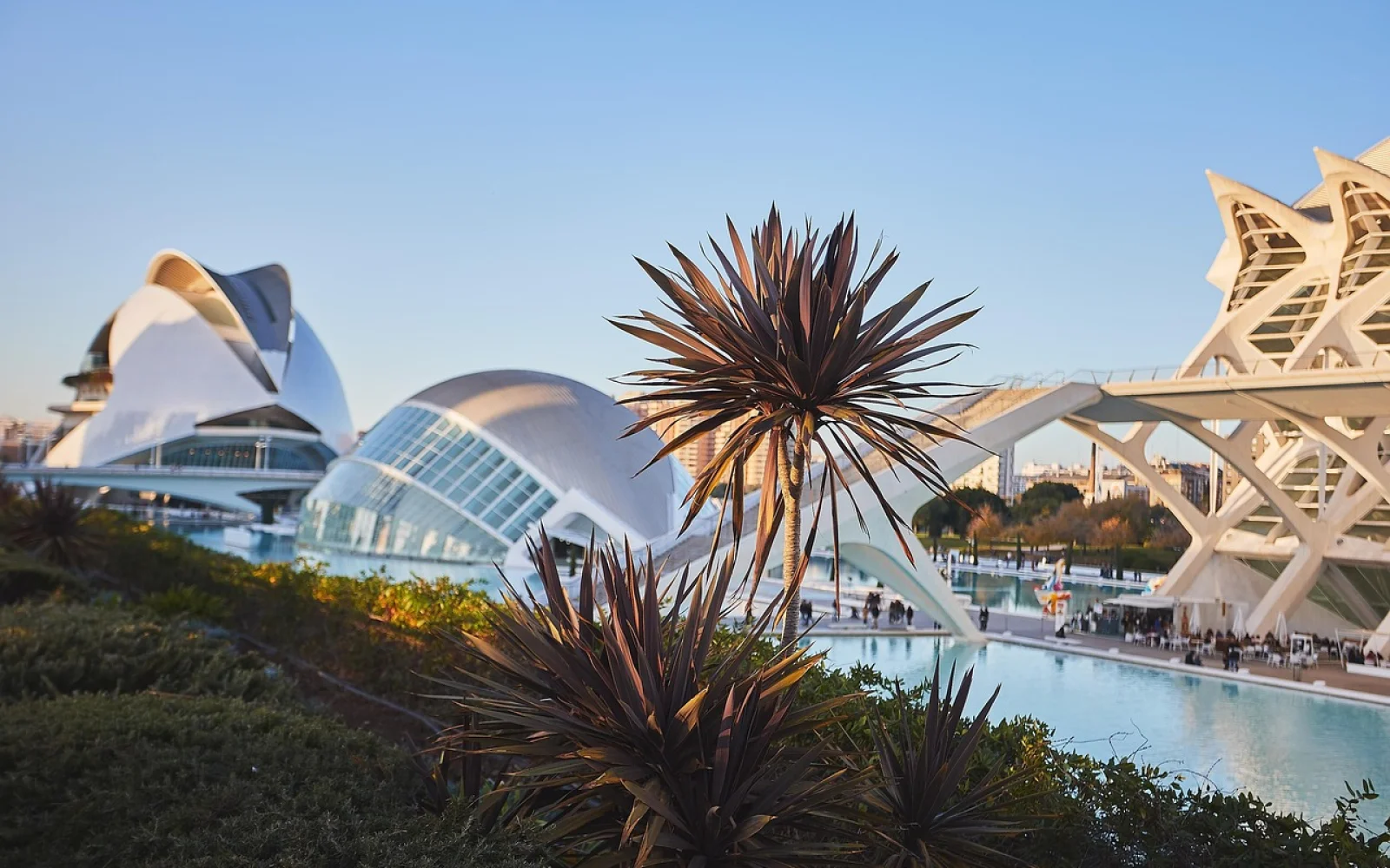 Die Ciudad de las Artes y de las Ciencias
