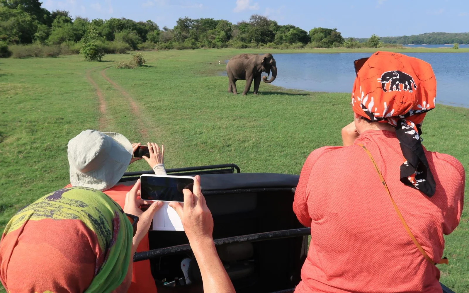 Bei einer Safari im Mineriya Nationalpark können Sie Elefanten beaobachten
