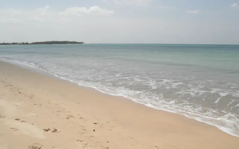 Entspannen am Strand von Pasikudah oder optionale Aktivitäten 