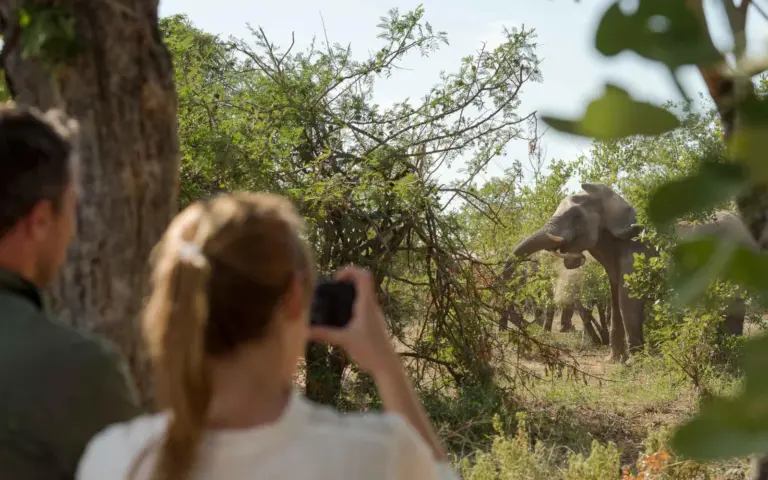 Verlängern Sie Ihre Südafrika-Urlaub mit einer Safari. (© Africa On Foot) 