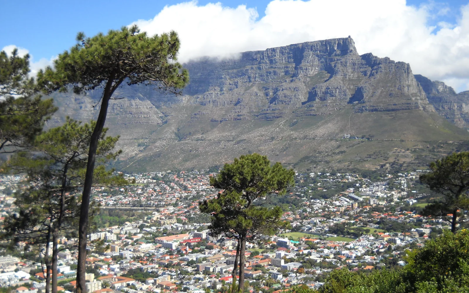 Blick auf den Tafelberg mit dem berühmten "Tischtuch"