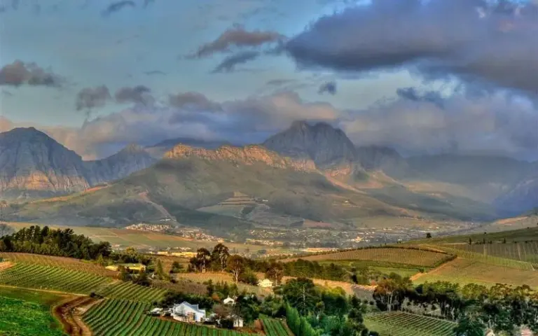 Fahrradtour durch die Winelands