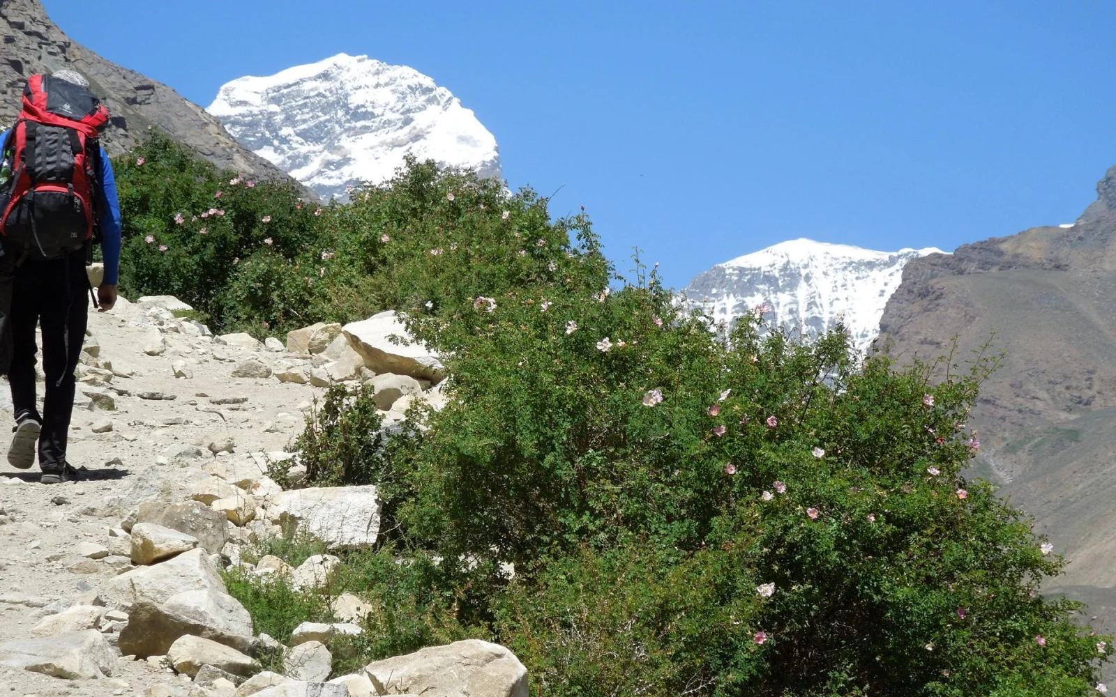 Aufstieg zur Engelswiese mit Blick auf den Peak Engels