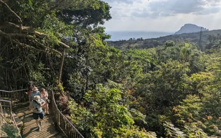 Baden im Meer, Besuch des Foguangshan-Klosters und Fahrt nach Tainan